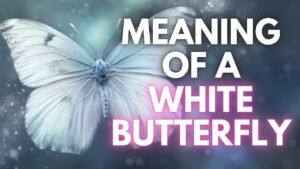 what does a white butterfly represent