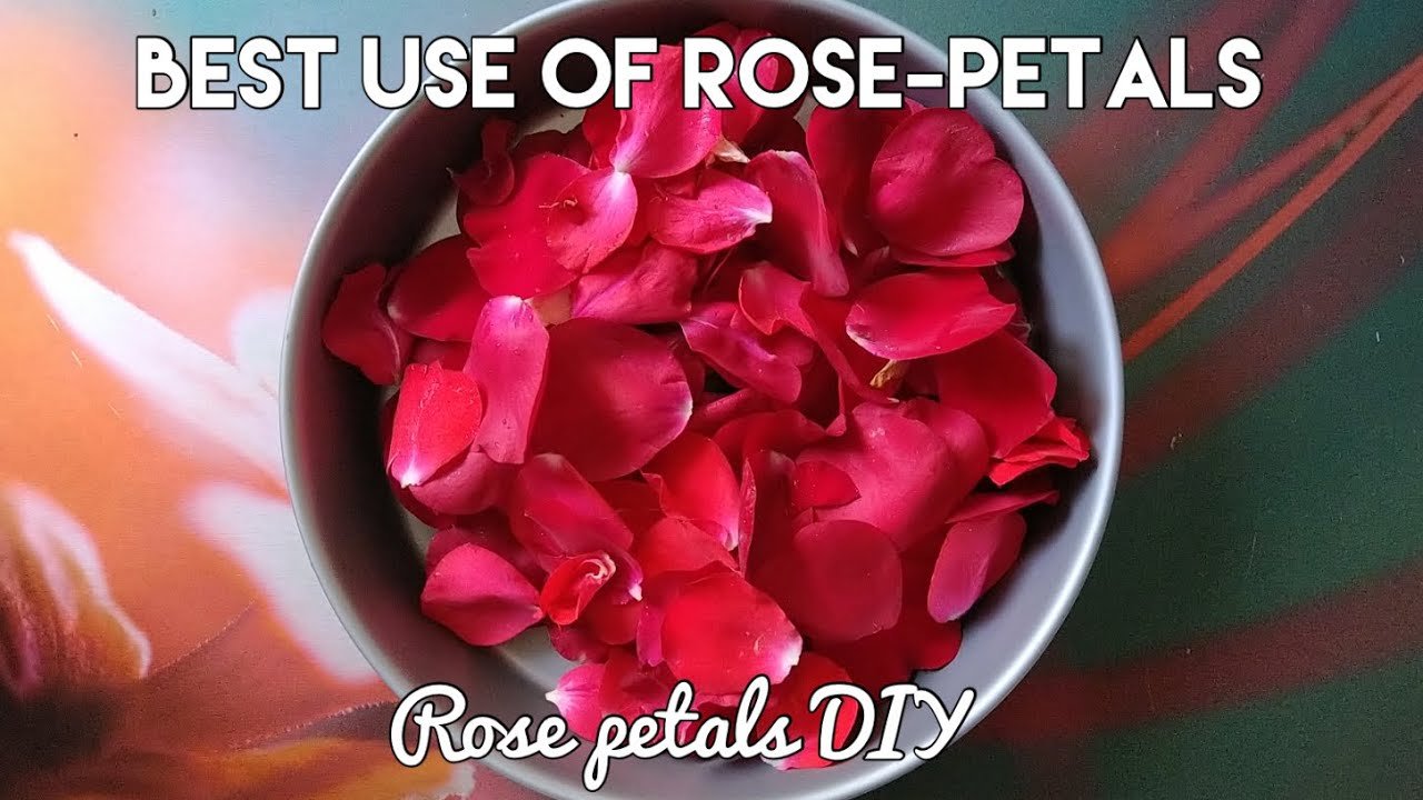 how to use the rose